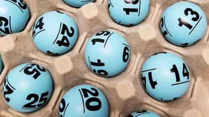 Đá Gà Trực Tiếp: Những Điều Cần Biết Hôm Nay